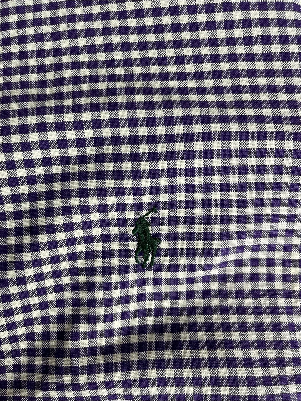 Polo by Ralph Lauren Purple Gingham Button-Down Shirt